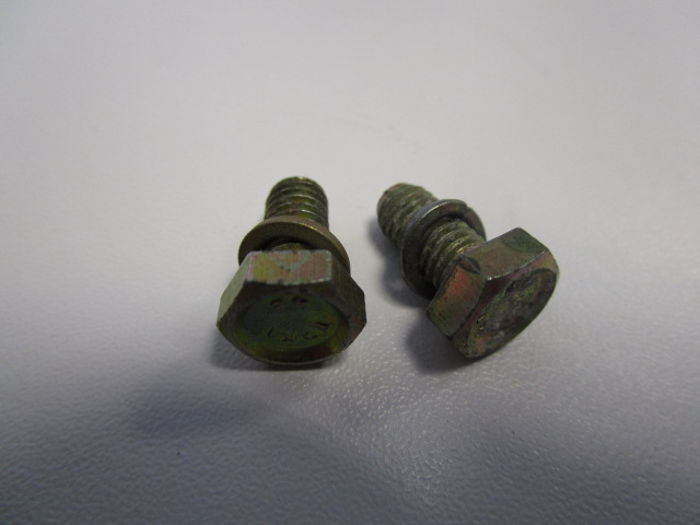 2 Stück Sechskantschraube M 6 x 10 incl. Federring