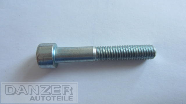 Innensechskantschraube 8 x 50 für Bremssattel W 353/1.3