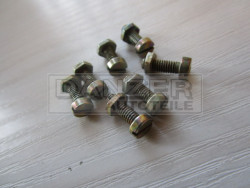 7 Stück Zylinder-Schlitz-Schrauben und Muttern  M4 x 12